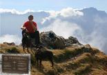 z_abby__und_ophelia_bergtour_kramerkreuz_zugspitzblick.jpg