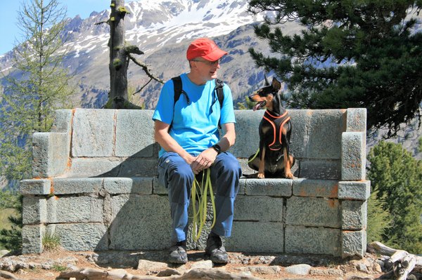 deutscher_pinscher_abby_ophelia_psk_vdh_fci_julierpass_morteratsch_(99).jpg