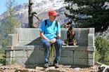 deutscher_pinscher_abby_ophelia_psk_vdh_fci_julierpass_morteratsch_(99).jpg