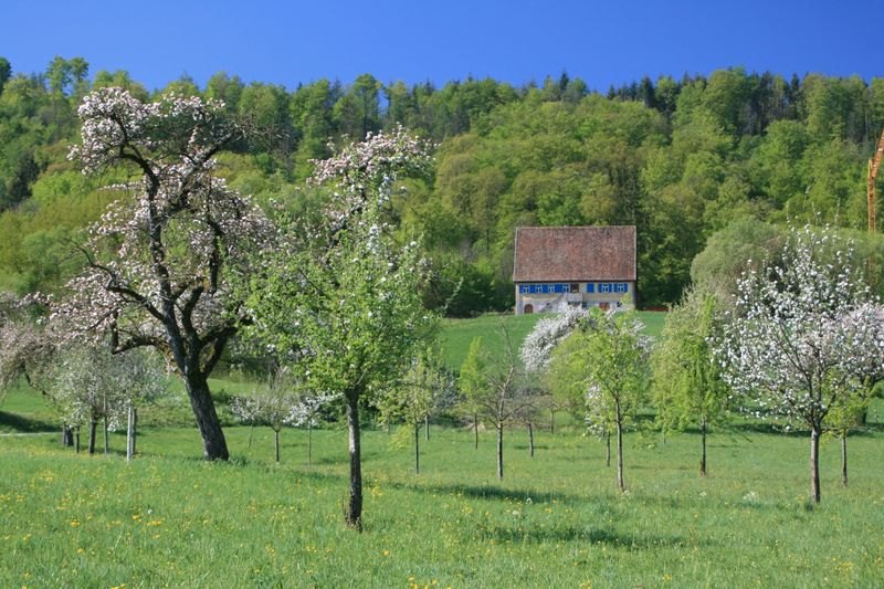 freilandmuseum_wackershofen_(04).jpg