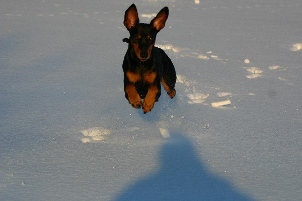 aaron_im_februar_2009_1.jpg