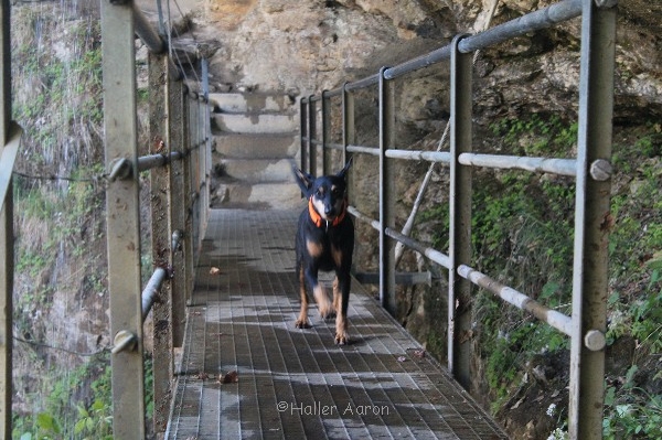 aaron_im_gebirg_stahlbruecke.jpg