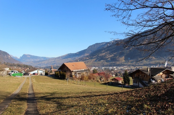 aarons_neues_zuhause_in_der_schweiz_17-02-2017.jpg