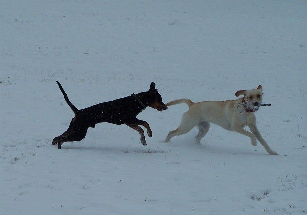 8-winterfreuden_-_spass_im_winter.jpg