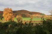 herbst-2013__(96)-1.jpg