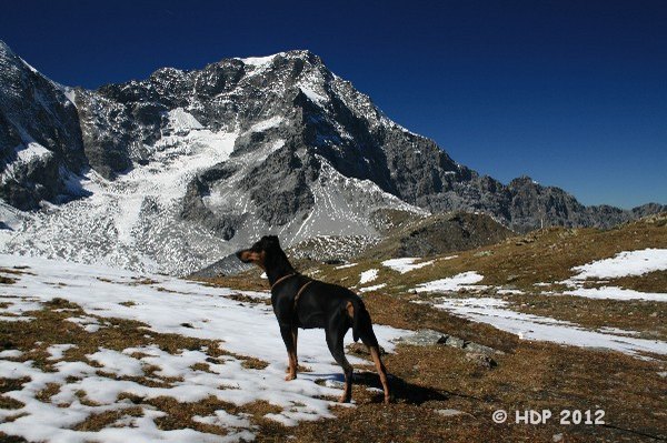 ortler-gebiet_09-2012__368_1.jpg