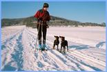 winterlandschaft_vor_der_haustuer.jpg