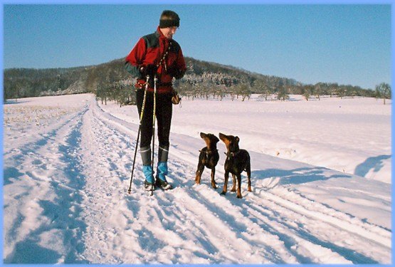 winterlandschaft_vor_der_haustuer.jpg