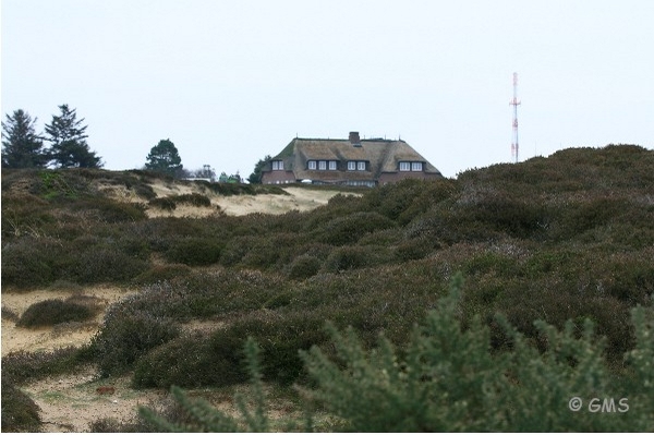 sylt-o_morsum_kliff_(5)_1_1.jpg