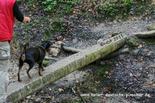 bodenseewoe_114.jpg