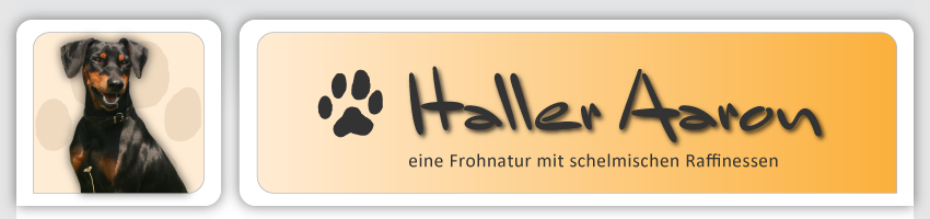 PSK VDH FCI Deutscher Pinscher Haller Aaron - Haller Deutsche Pinscher