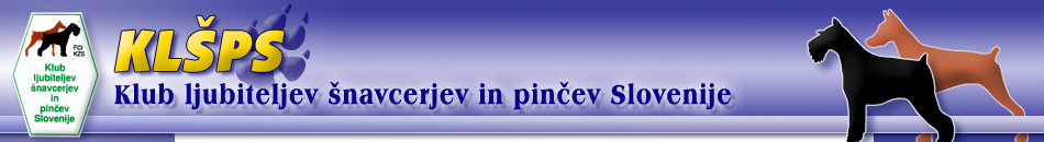 PSK VDH FCI KZS KLSPS Deutscher Pinscher Haller Deutsche Pinscher