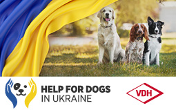VDH Hilfe fuer Hunde in der  Ukraine - Help for dogs in Ukraine