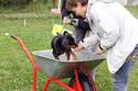 04_haller_camea-canoxa_welpenpnschule_1.jpg