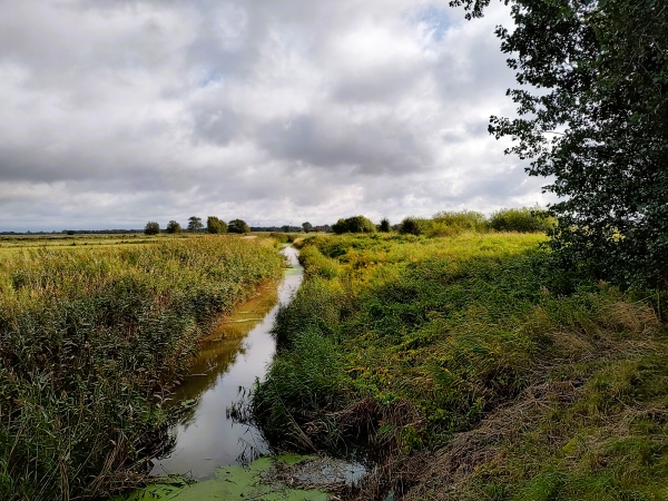 DJ2GMS_POTA_SE-1131_Görslövsåns mader Nature Reserve
