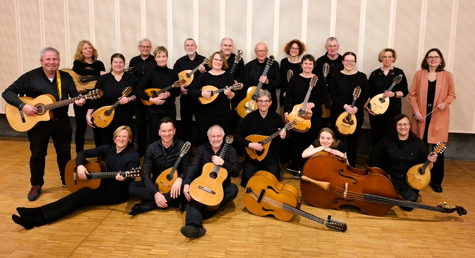 Mandoline_Instrument des Jahres 2023_Württembergisches Zupforchester_DJ2GMS