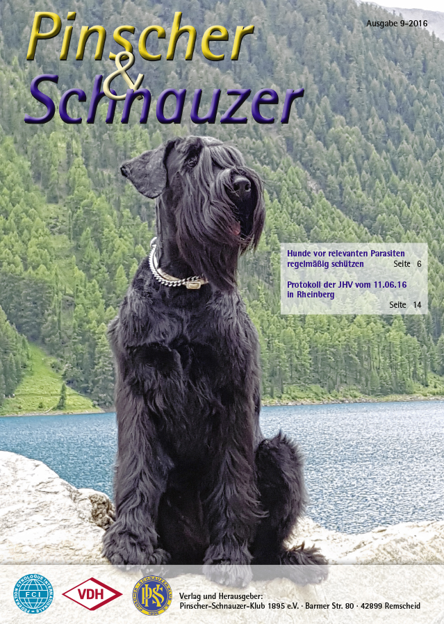 FCI VDH PSK Deutscher Pinscher Abby Ophelia Zugspitz Dogtrekking 2016 - Abby Sports Team